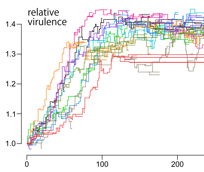 courbe-croissance-evolution-virulence-relative-virus-crees-montpellier